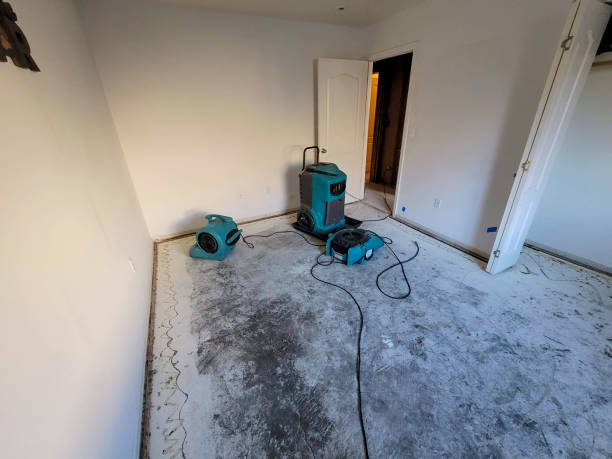 Best Water damage contractors near me  in Akwesasne, NY