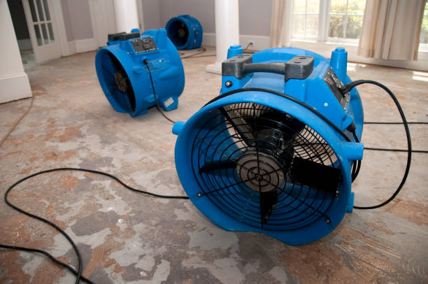 Best 24/7 water damage repair  in Akwesasne, NY