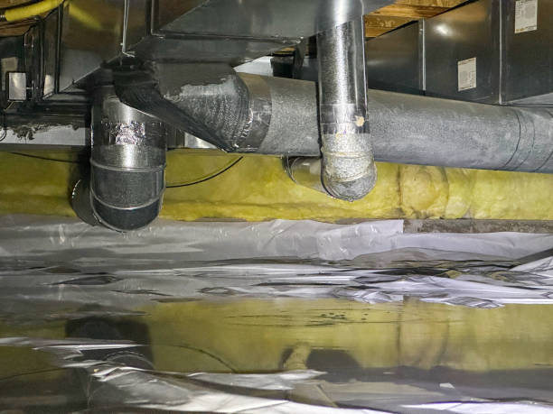 Best Mold removal after water damage  in Akwesasne, NY
