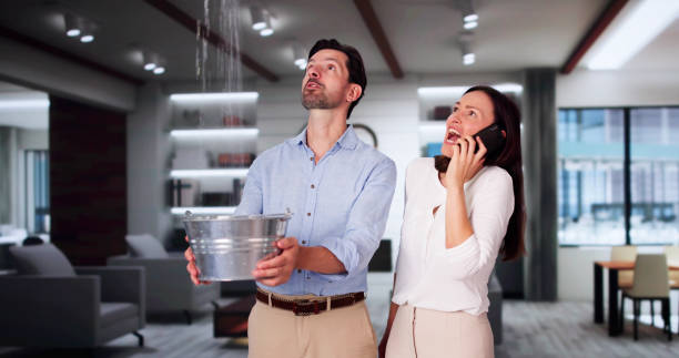 Best Water damage contractors near me  in Akwesasne, NY