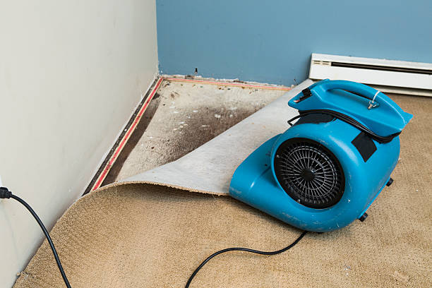 Best Residential water damage restoration  in Akwesasne, NY